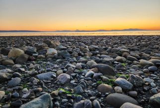 beach with rocks